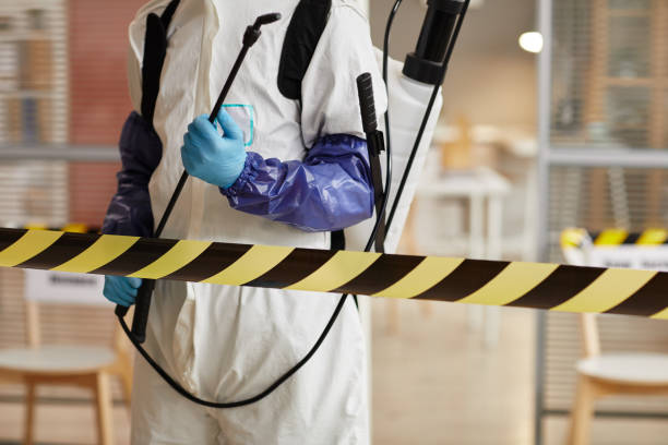 Professional Sewage Cleanup technician working in Blue Mountain, AR