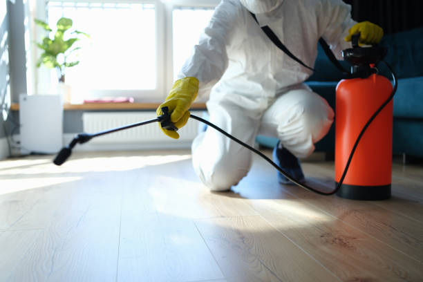 Reliable Sewage Cleanup contractor in Blue Mountain, AR by Dulley Family Biohazard Services